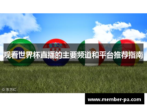 观看世界杯直播的主要频道和平台推荐指南