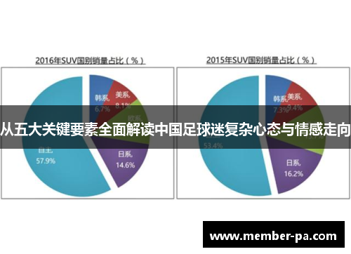 从五大关键要素全面解读中国足球迷复杂心态与情感走向
