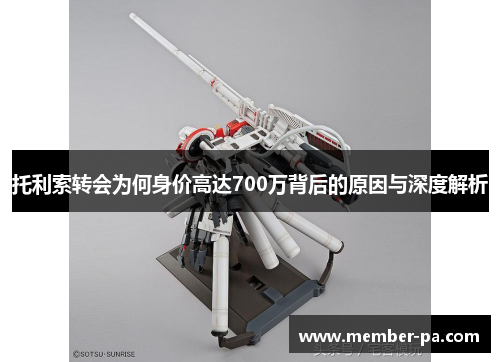 托利索转会为何身价高达700万背后的原因与深度解析